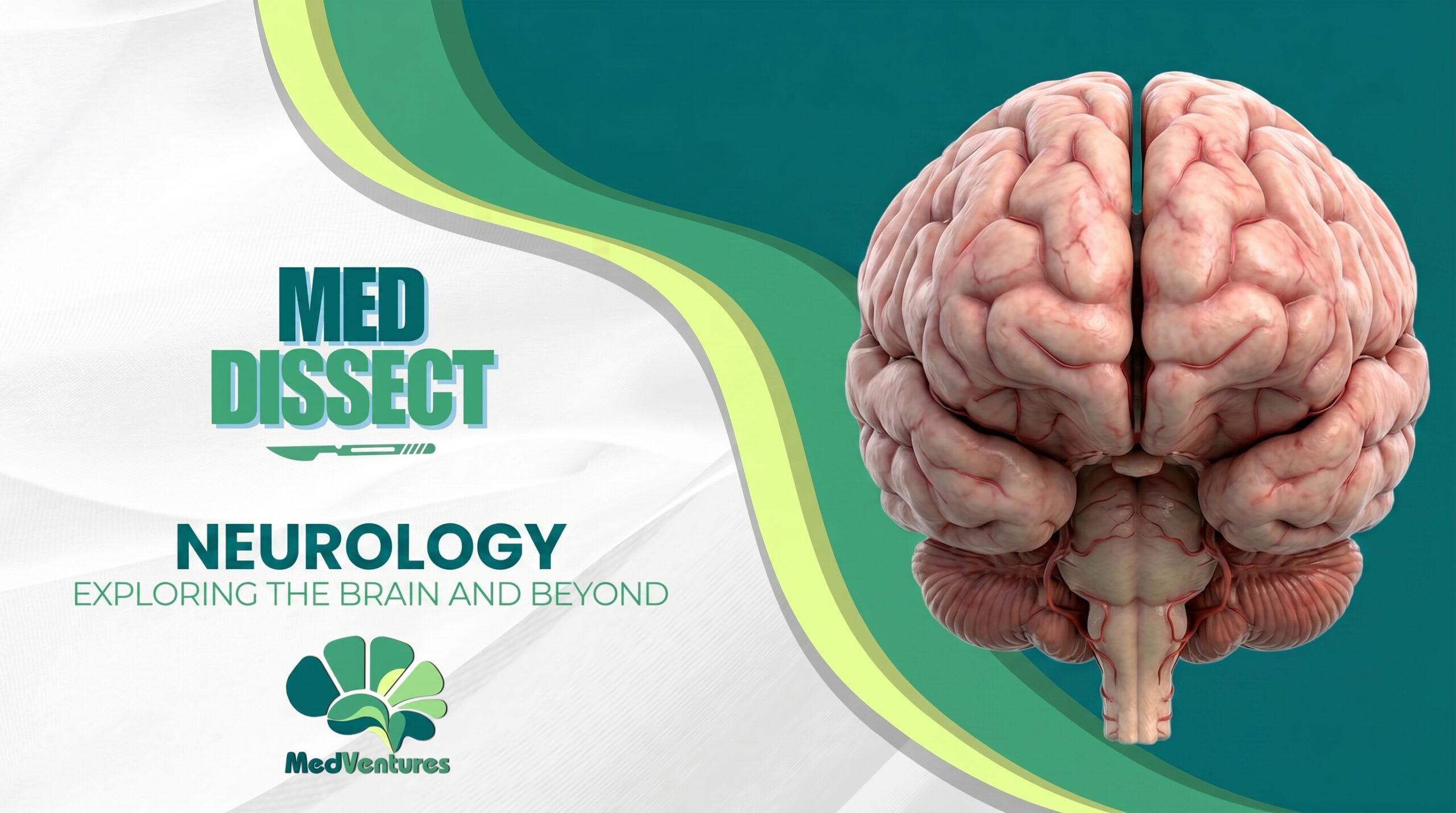 MedDissect – Neurology Module (OFFLINE)