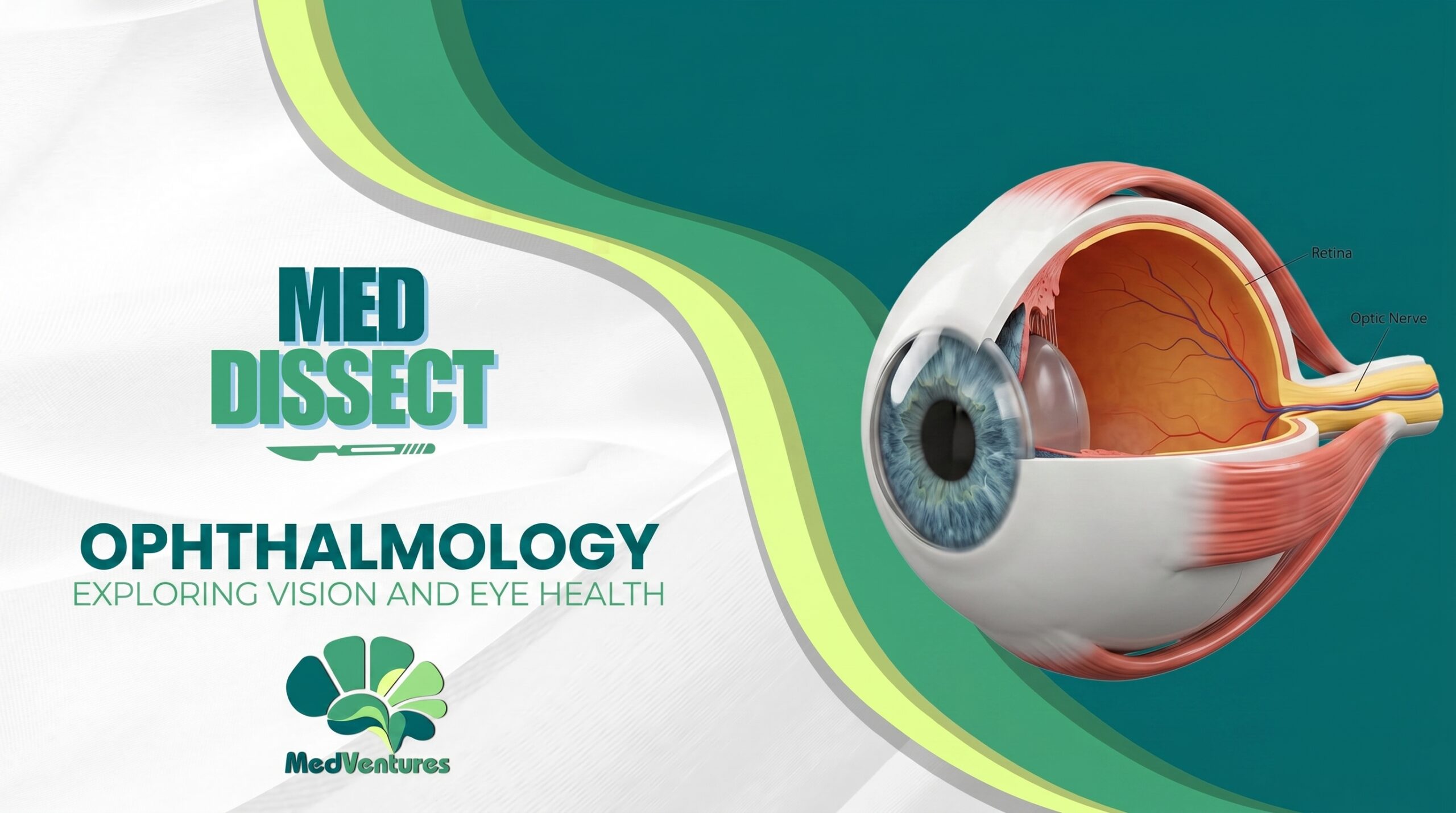 MedDissect – Ophthalmology Module (OFFLINE)