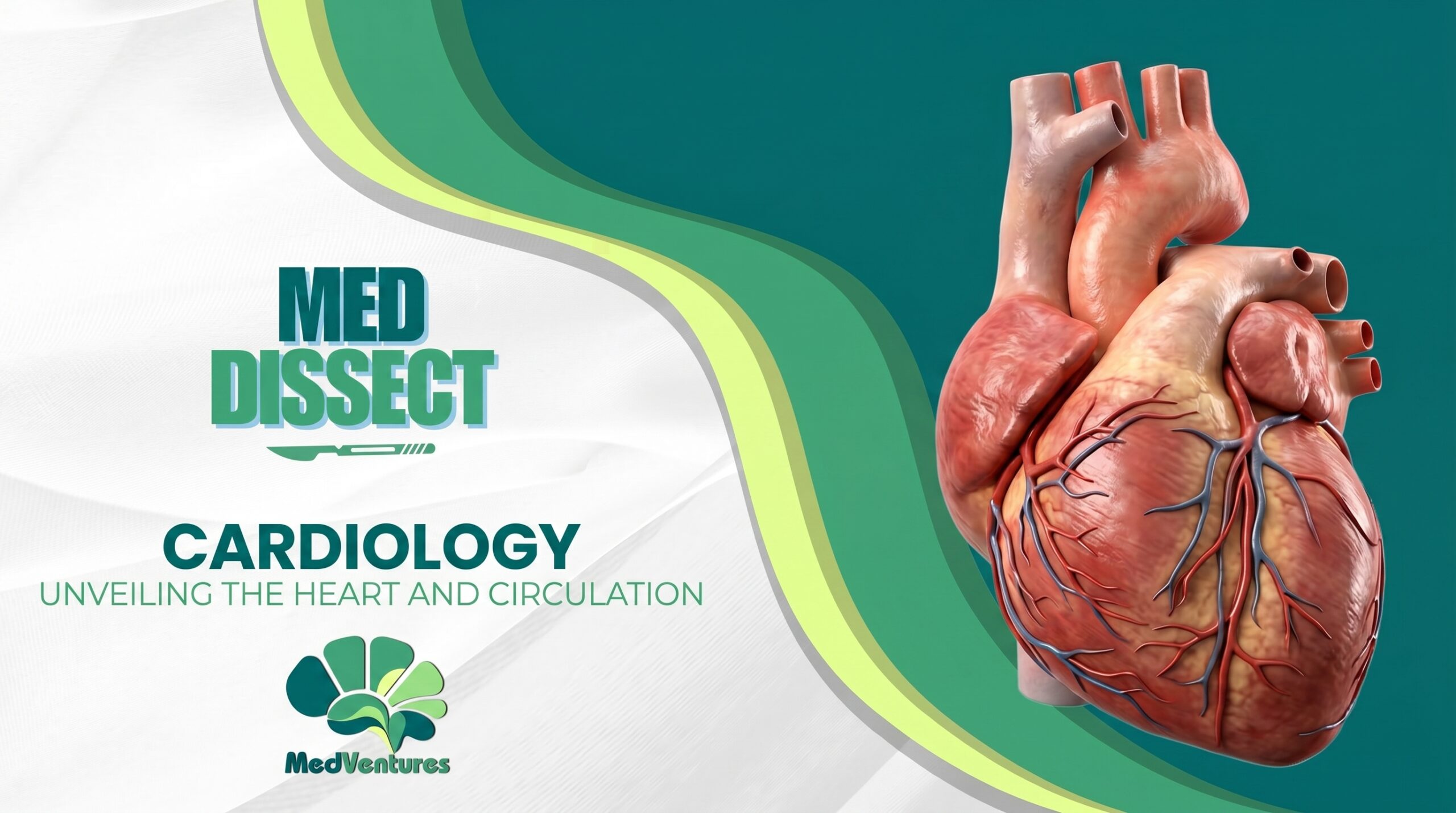 MedDissect – Cardiovascular Module (OFFLINE)