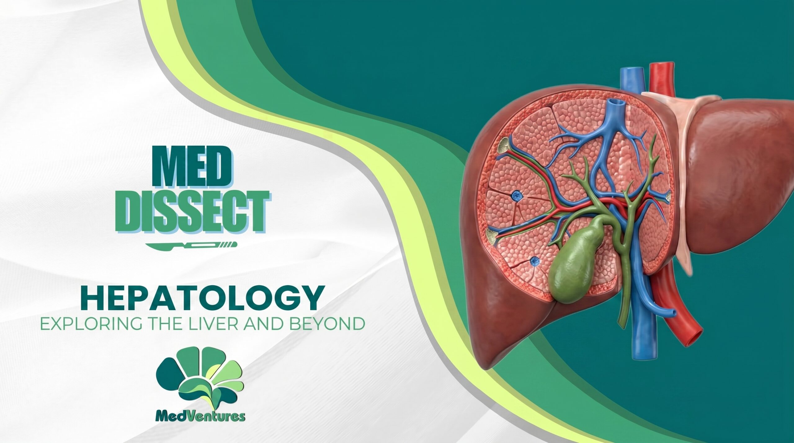 MedDissect – Hepatology Module (OFFLINE)